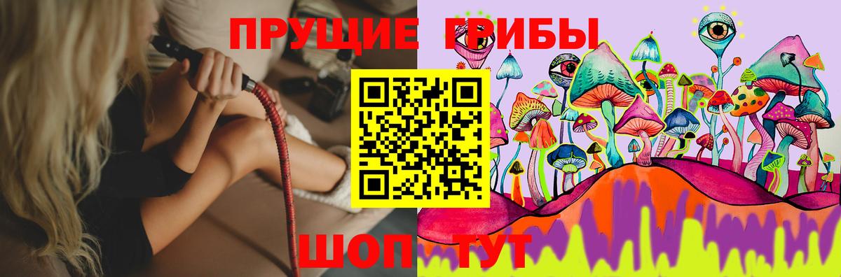 Батайск  Галлюциногенные грибы Psilocybe  Вход с VPN 